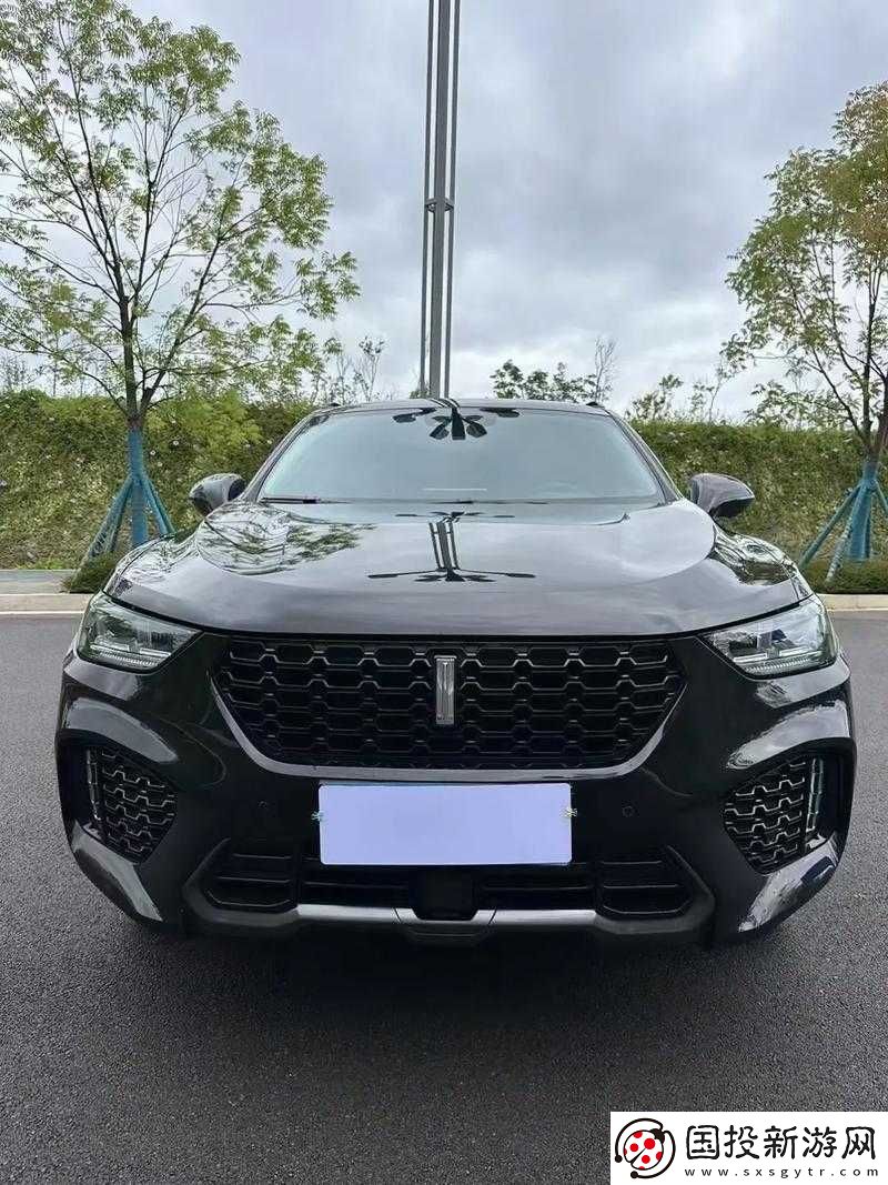 WeyVV5-國產(chǎn)-SUV-視頻：暢享卓越駕駛體驗(yàn)
