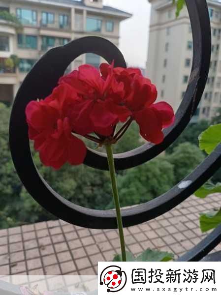 老公親我的小花園最火的一句內(nèi)容停更：1.-在老公的寵愛中綻放的小花園