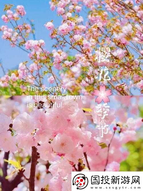 請(qǐng)用你的手打擾我櫻花：一場浪漫的櫻花邂逅