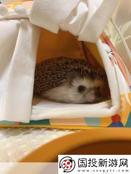 淑芬兩腿中間癢的厲害-1.-＂淑芬的煩惱：兩腿中間的奇怪癢感