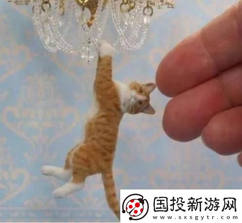 時(shí)間之神的貓210攻略路線詳情：通關(guān)技巧與策略解析