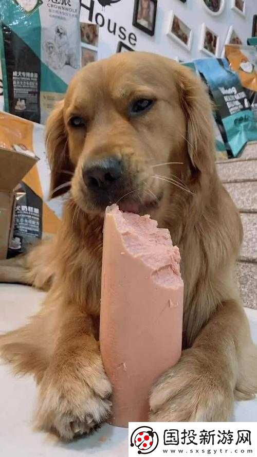 小洞餓了想吃大火腿腸：美味愿望能否實(shí)現(xiàn)