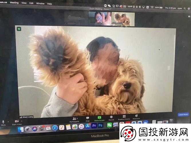 狗Zoom和人類Zoom哪個(gè)好：寵物與人類的比較