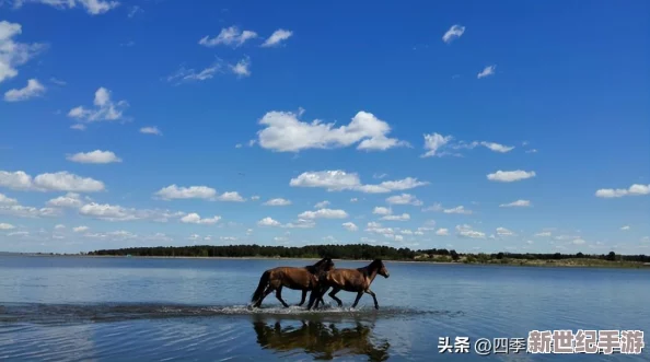 怪物獵人：荒野征途PC版極致體驗(yàn)配置指南-暢享狩獵之旅的硬件需求全解析
