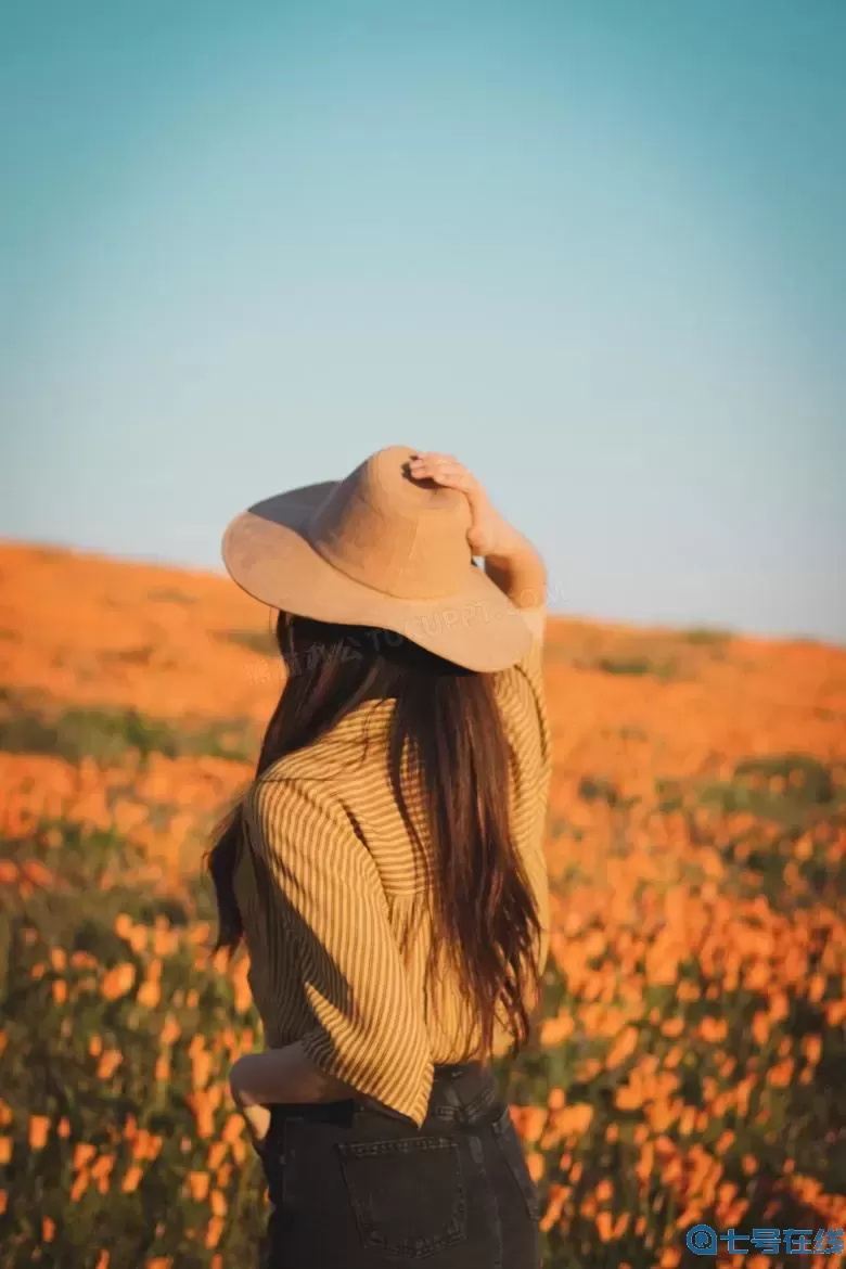 國(guó)產(chǎn)卡一卡二仙蹤林：探尋夢(mèng)幻與現(xiàn)實(shí)的交匯