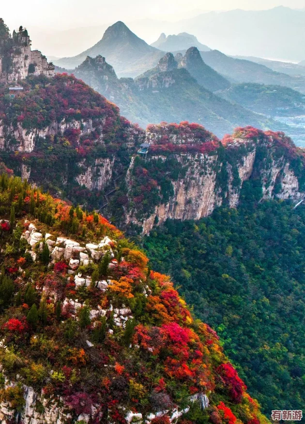 心動(dòng)小鎮(zhèn)：解鎖音樂(lè)魅力-全方位攻略教你如何獲取珍稀樂(lè)器寶藏