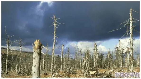 探索寵物石頭的隱秘弱點(diǎn)：水、酸雨與劇烈溫差——三大自然天敵全解析