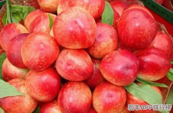 和平精英SS22賽季開啟時間揭曉：預計3月27日迎接全新田園風格主題