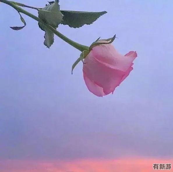 墨色劍影：江湖烽煙再起-十五大任務(wù)逐一擊破策略詳解