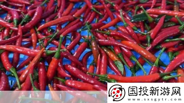 午煮香蕉小辣椒被友爆料下架了：午煮香蕉小辣椒下架背后的真相揭曉！