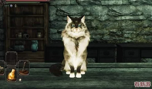 小貓咪大城市探險記