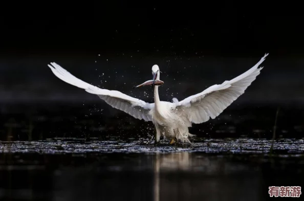 煙雨朦朧江湖路