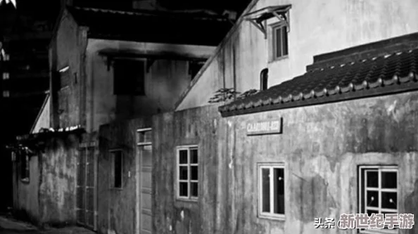 四海兄弟3策略大揭秘