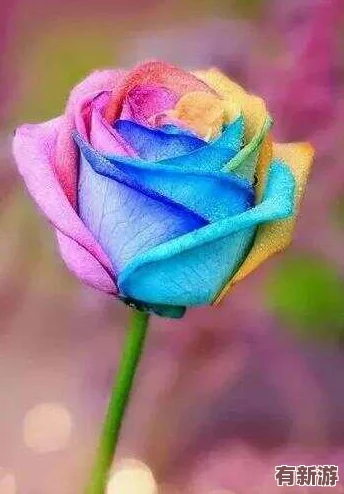 色喲喲喲喲-五光十色如花似錦-絢麗多姿令人陶醉