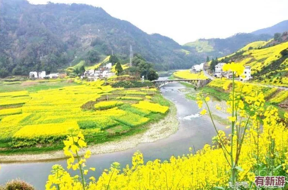 線上s怎么開始調(diào)m-只要堅(jiān)持不懈-一切皆有可能！