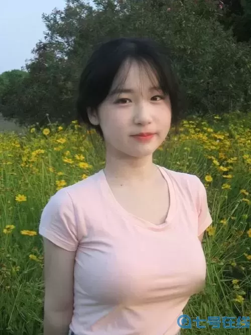 探秘蘑菇在線免費觀看高清ppt的奇妙世界