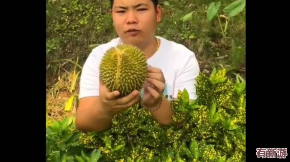 榴蓮秋葵讓你流連忘返-網(wǎng)友稱贊其獨(dú)特口感-吃了讓人欲罷不能-驚艷味蕾的絕妙組合