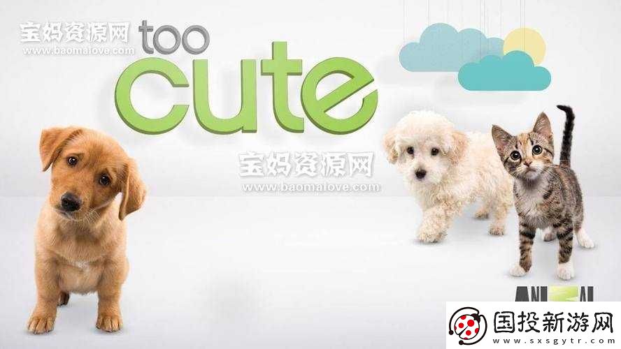 萌寵蠑螈的養(yǎng)成記：孵化與精心照顧可愛Axolochi蠑螈的成長之旅