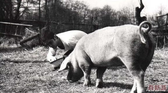 男人與禽ZoZ0性倫農(nóng)場(chǎng)：不堪入目-令人發(fā)指的丑惡現(xiàn)象