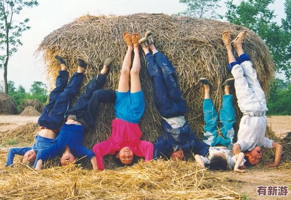 草莓絲瓜向日葵：新研究發(fā)現(xiàn)這些植物的共生關(guān)系能顯著提高農(nóng)作物產(chǎn)量和抗病能力