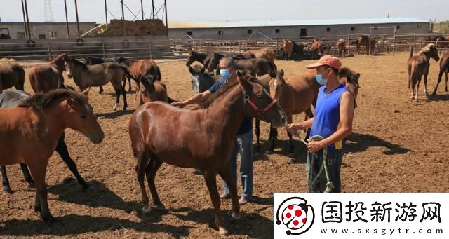 騎馬射箭-笑談配馬新技：我不是馬兒-也能識(shí)途