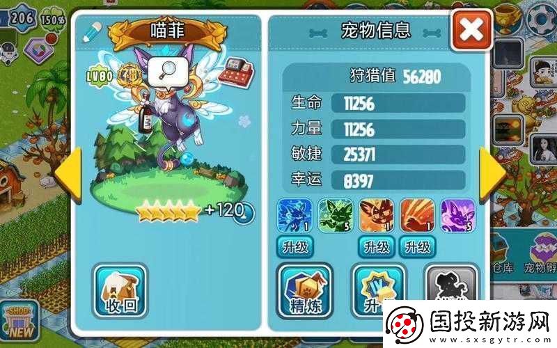 全民農(nóng)場寵物大比拼：陀陀喵喵與旺旺的深度對比分析