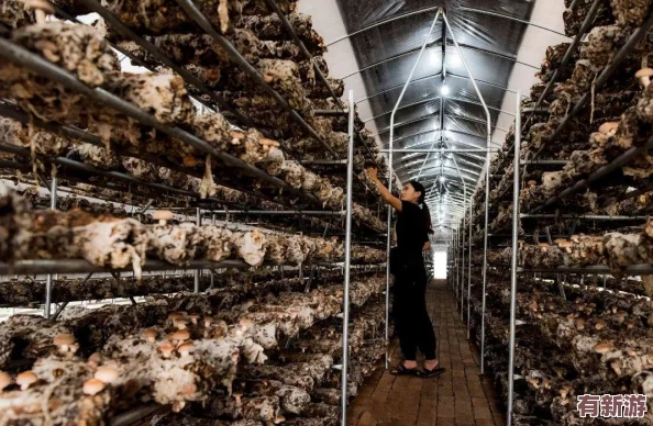 蘑菇tv官方網(wǎng)頁(yè)版永久版-真金不怕火煉-強(qiáng)者恒強(qiáng)-穩(wěn)坐釣魚(yú)臺(tái)