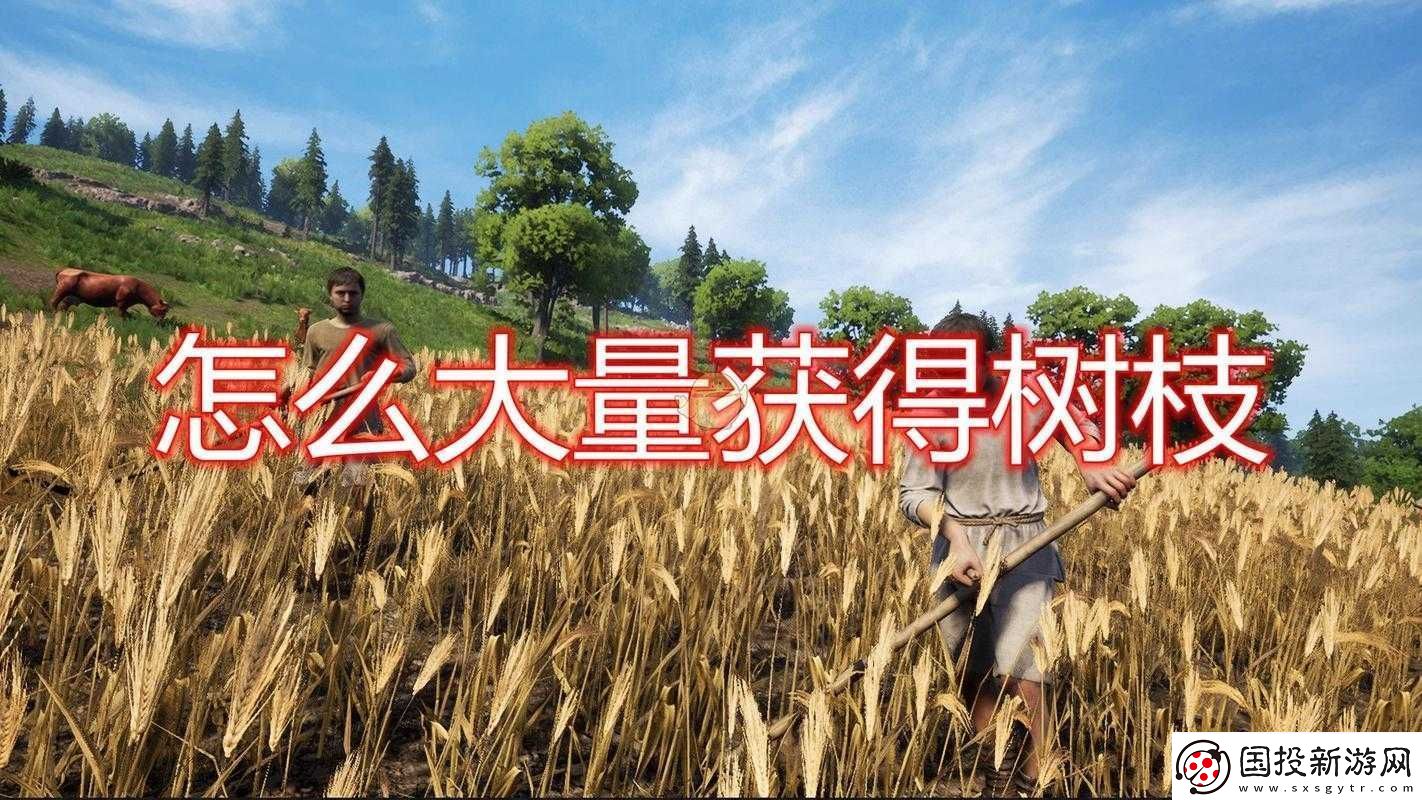 中世紀(jì)王朝樹枝獲取攻略：實(shí)用技巧分享