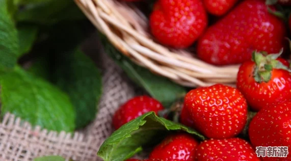 草莓視頻免費在線觀看