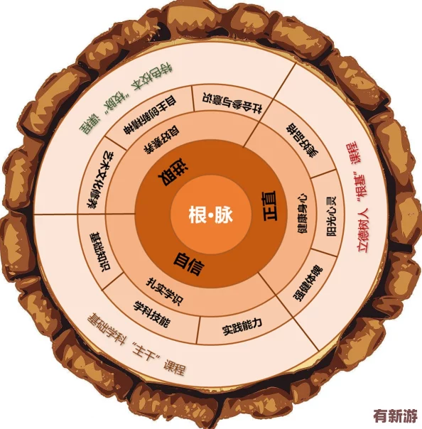 通過深入分析理解“輪換2”的多層次含義與應(yīng)用場(chǎng)景