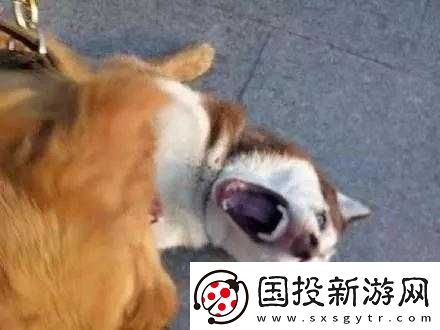 把你摁在地上摩擦怎么回復(fù)才合適：實(shí)用技巧分享