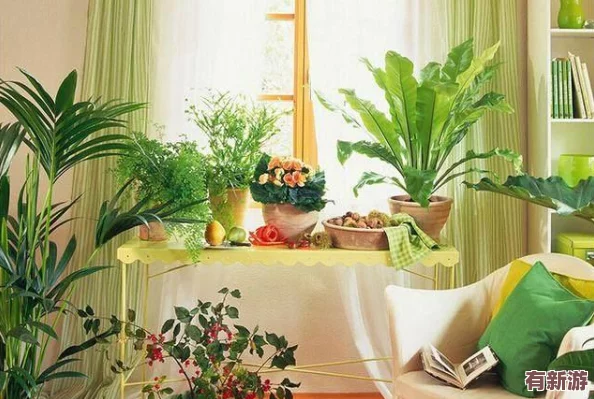 暗喻幻想中解鎖治愈士角色的獨(dú)特方法與步驟詳解