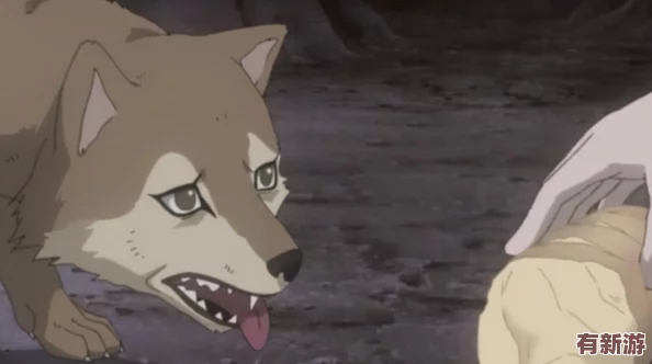 長門和小南差差差