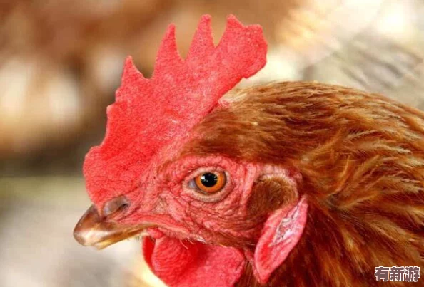 雛鳥幼兒小學生張婉瑩暑假作業(yè)