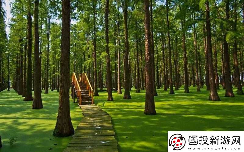 不安分的手：闖入森林之謎