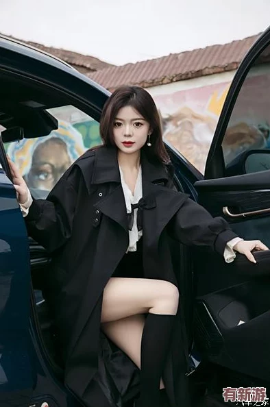 神木麗車牌stats—804封神：用戶評價稱其性能卓越-外觀時尚-駕駛體驗極佳-讓人愛不釋手！