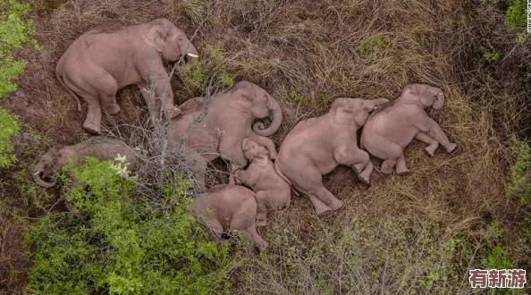格溫翻白眼流口水流眼淚圖片引發(fā)網(wǎng)友熱議