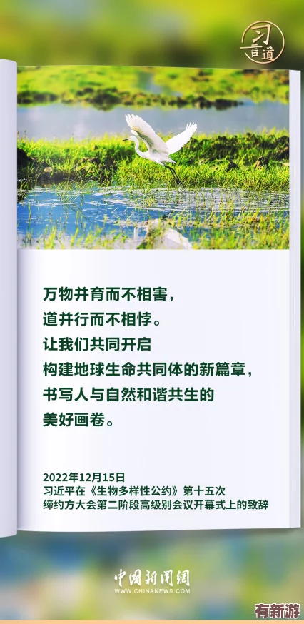 美國歐洲日本中國的文化差異：各具特色-百花齊放-和諧共生之道