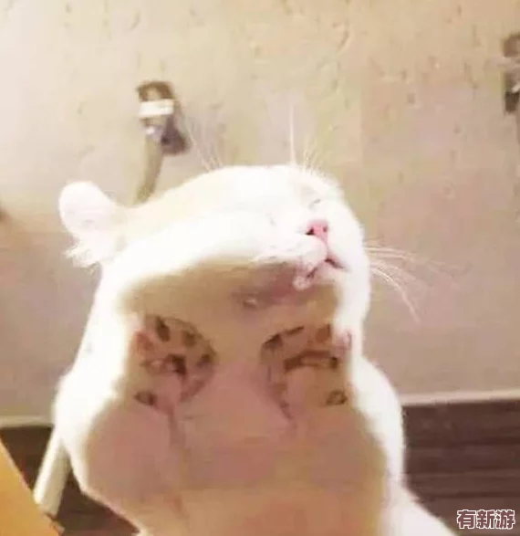 寶寶我給你扣吧