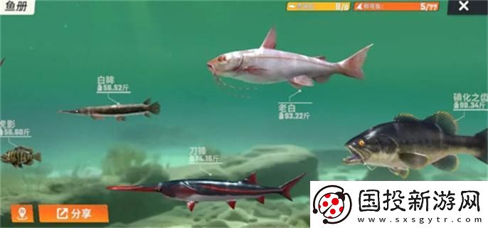 歡樂釣魚大師魚類有哪些