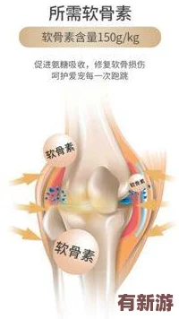 糖心柚子貓短視頻vlog：2024年最火的萌寵趨勢與生活分享-帶你感受甜蜜日常！