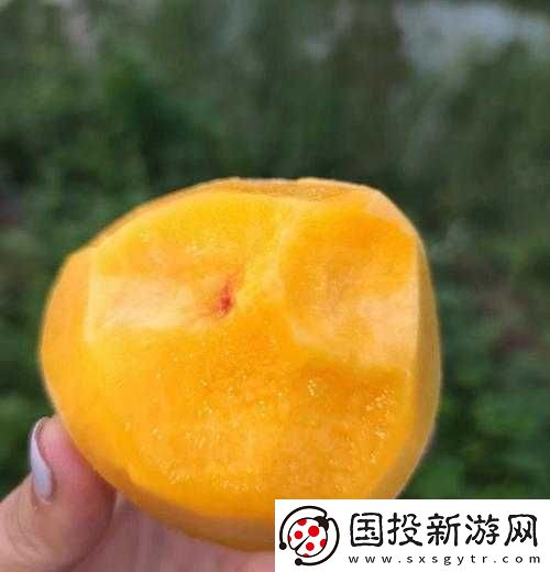 一曲二曲三曲水蜜桃的獨(dú)特魅力