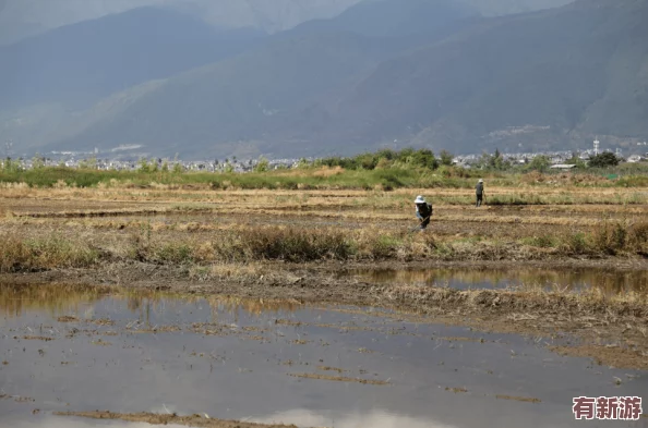 鋼鋼鋼鋼鋼鈉好多水-2024年人工智能助力可持續(xù)發(fā)展新機遇與挑戰(zhàn)分析