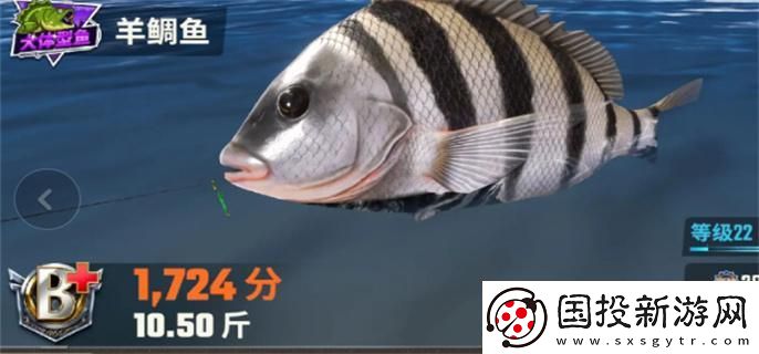 歡樂釣魚大師魚類有哪些