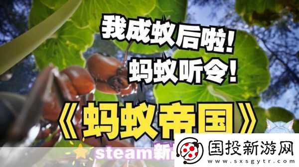 獨(dú)家揭秘Steam新寵Ant-Colony:-Wild-Forest——螞蟻帝國(guó)的策略盛宴！