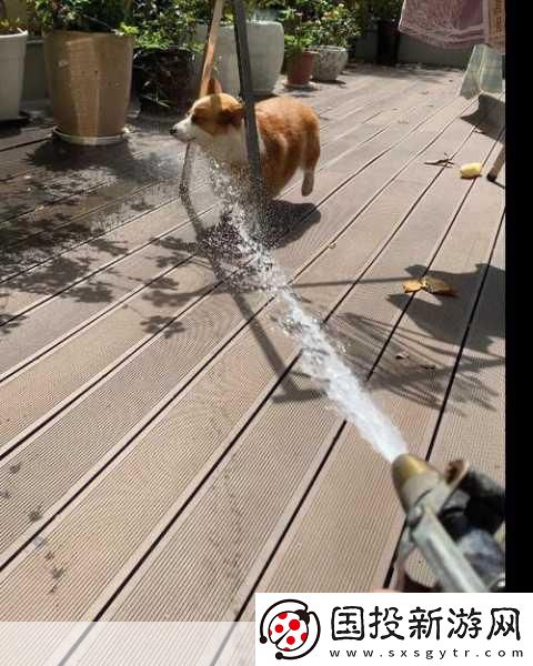 晚上聽到滋水聲在父母房間：夜深人靜-滋水聲引發(fā)的思緒