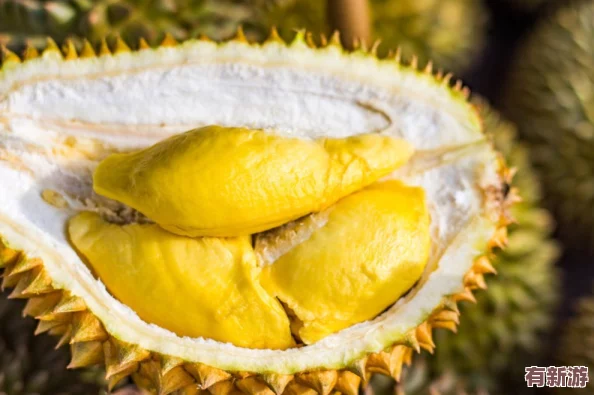 榴蓮視頻成人版