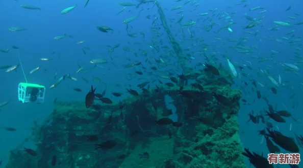 云纓狂飆水圖：暢游如夢似幻的海洋世界-領略無與倫比的水上風情