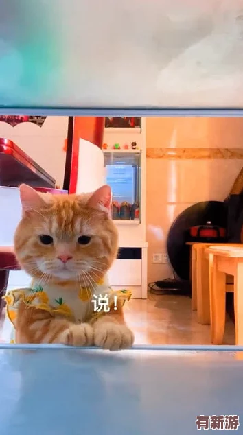 糖心柚子貓短視頻vlog