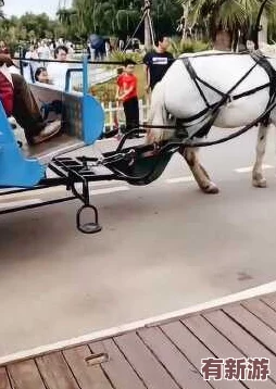 海角小馬大車